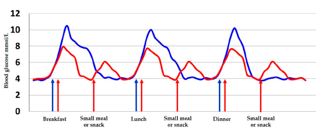 The blue curve illustrates a 3-meal pattern and the red curve illustrates a more frequent meal pattern in women with gestational diabetes to avoid excessive blood glucose fluctations. Blue arrows: Three main meals. Red arrows: three main meals and three snacks. The figure is reprinted from the review paper ”Diet and healthy lifestyle in the management of gestational diabetes mellitus” by Rasmussen L et al. in Nutrition 2020.