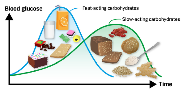 Blood sugar (glucose) curves after the consumption of fast-acting and slow-acting carbohydrates.